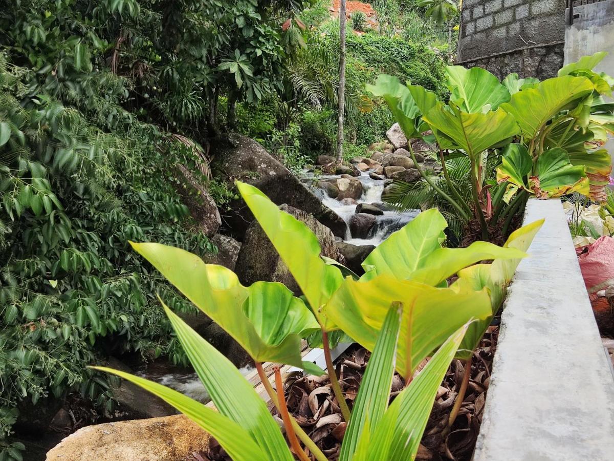 Riverside Mount Simpson - Seychelles Island Beau Vallon  Exteriér fotografie