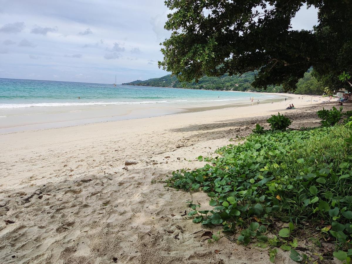 Riverside Mount Simpson - Seychelles Island Beau Vallon  Exteriér fotografie